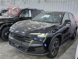 جیتۆر داشينگ